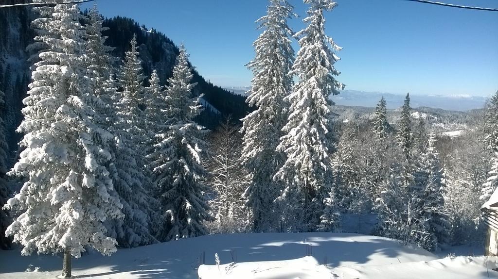 Apartments Milinkovic Jahorina Exterior foto